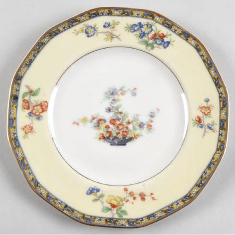 COPY - Limoges France bone china salad plate by Theodore haviland